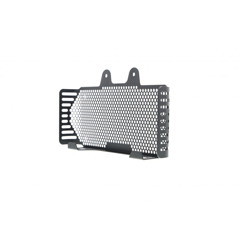 BMW R nineT 2017+ Griglia Radiatore