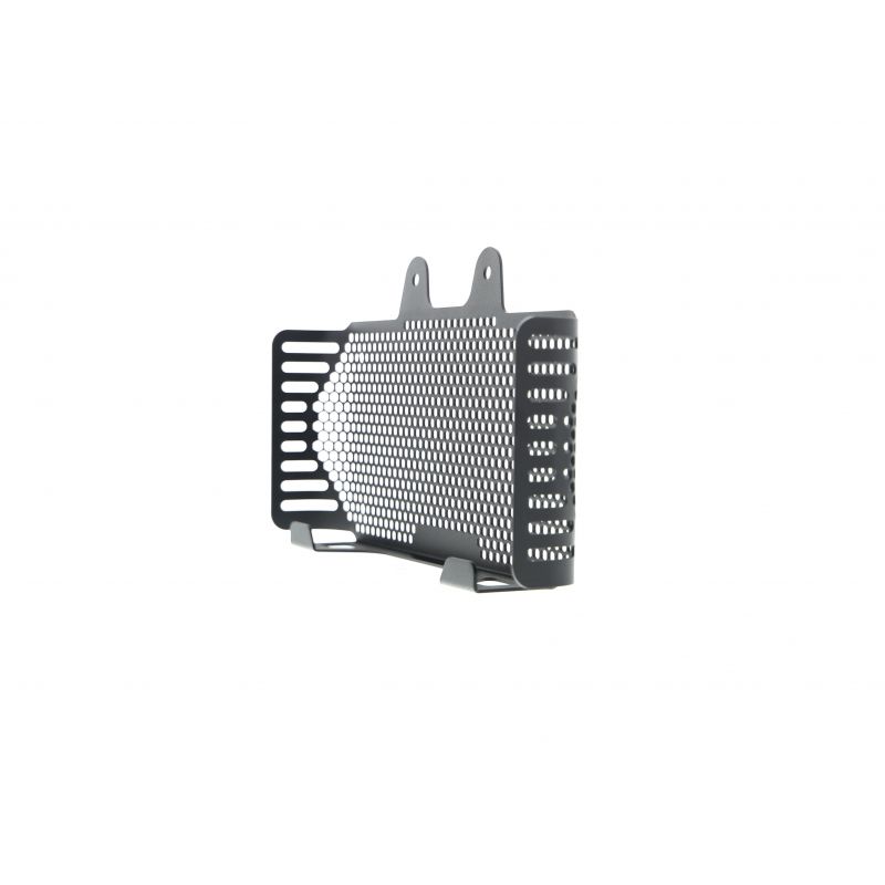 BMW R nineT 2017+ Griglia Radiatore