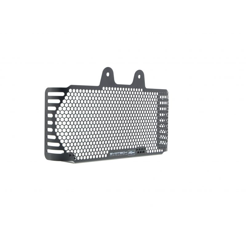 BMW R nineT 2017+ Griglia Radiatore