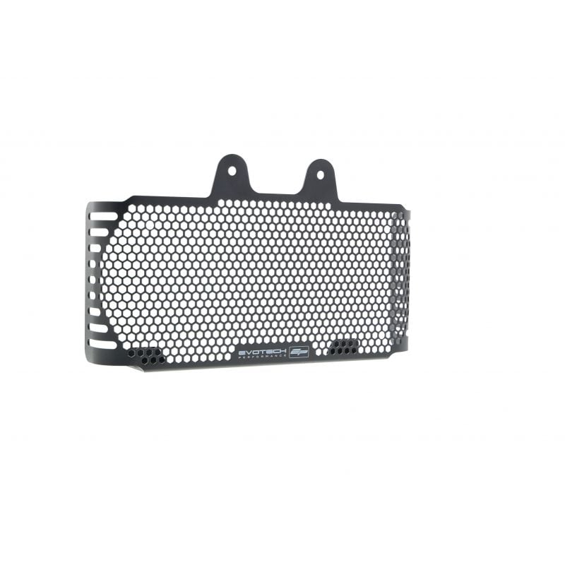 BMW R nineT 2017+ Griglia Radiatore