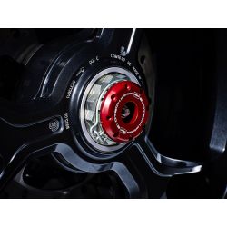 Ducati Monster 1200 2013+ Protezioni Forcellone posteriore