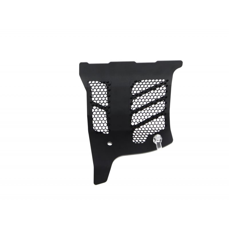 Ducati Monster 1200 2013+ Protezione Motore