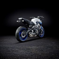 Yamaha FZ-09 2013+ Protezioni Forcellone posteriore