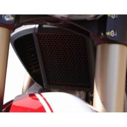 Ducati Monster 1100 S 2009+ Griglia Radiatore
