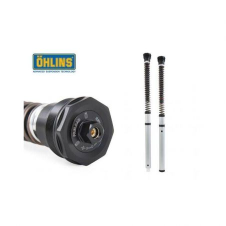 Ohlins cartuccia NIX Aprilia Tuareg 660 2022-