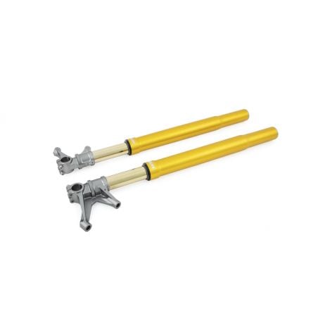 Ohlins forcella FGR 250 43 - TTX Yamaha YZF R1 / R1-M 2015-22