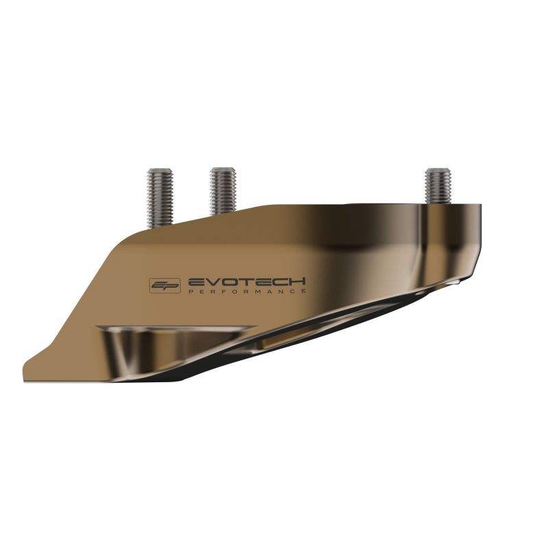 Ducati Streetfighter V4 SP2 2023+ Protezione Motore