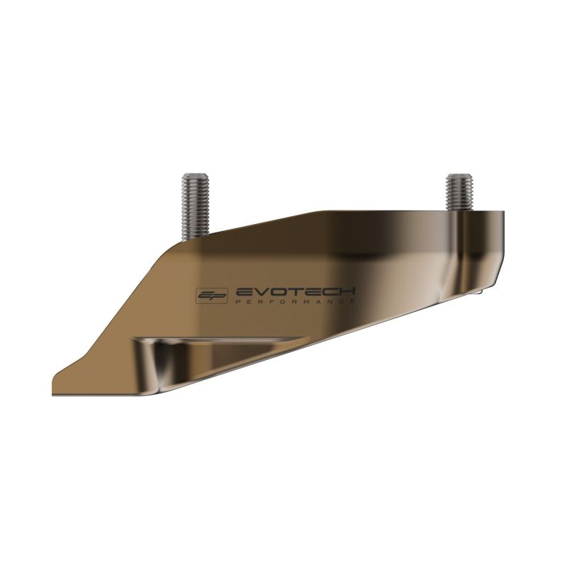 Ducati Streetfighter V4 SP2 2023+ Protezione Motore