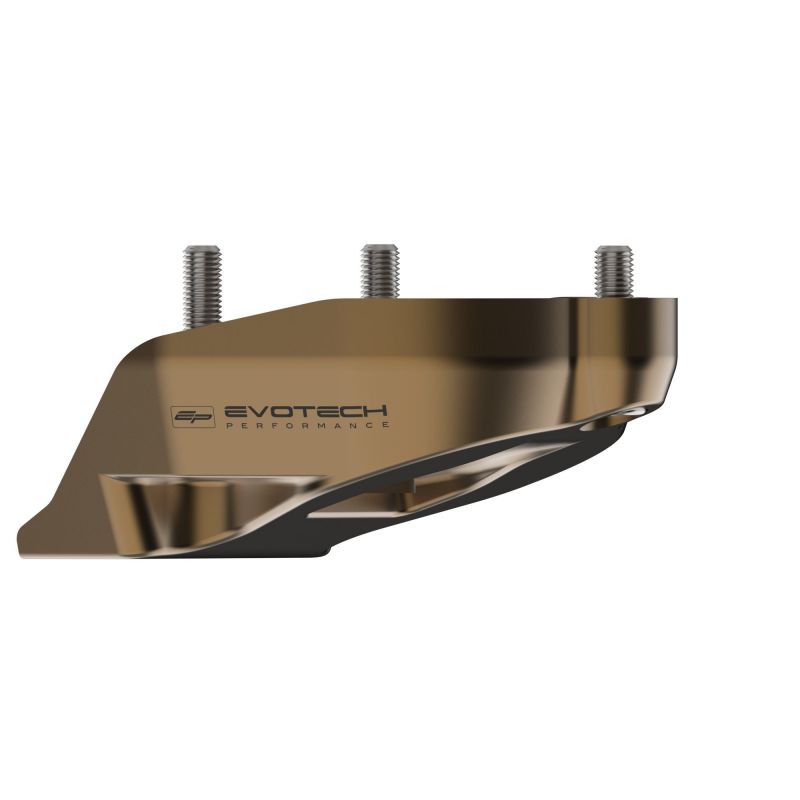 Ducati Streetfighter V4 Lamborghini 2023+ Protezione Motore