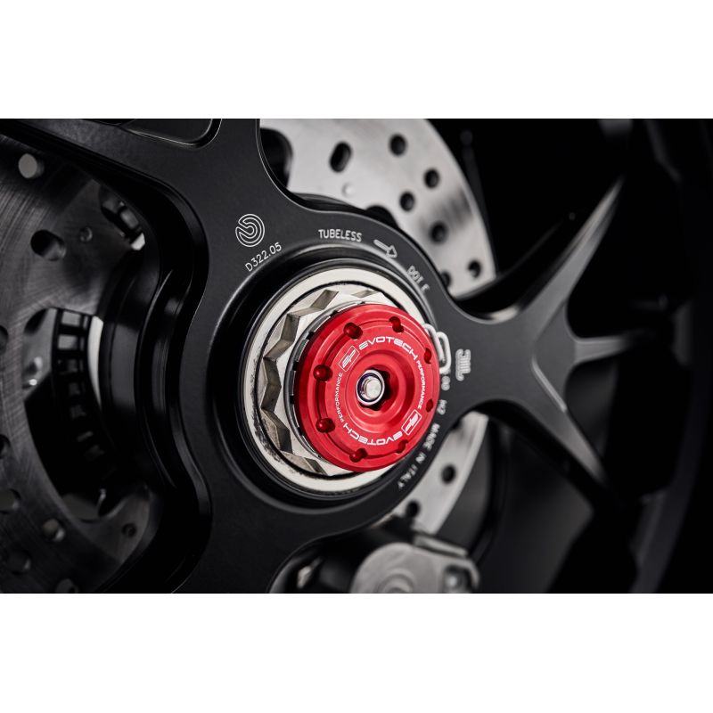 Ducati Streetfighter V4 Lamborghini 2023+ Protezioni Forcellone posteriore