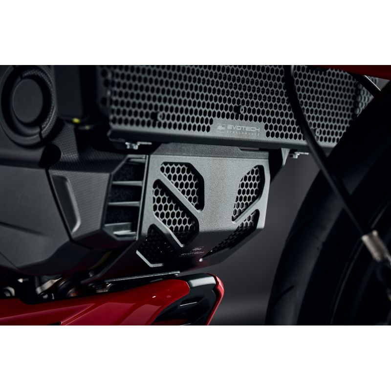 Ducati Monster 950 + (Plus) 2023+ Protezione Motore