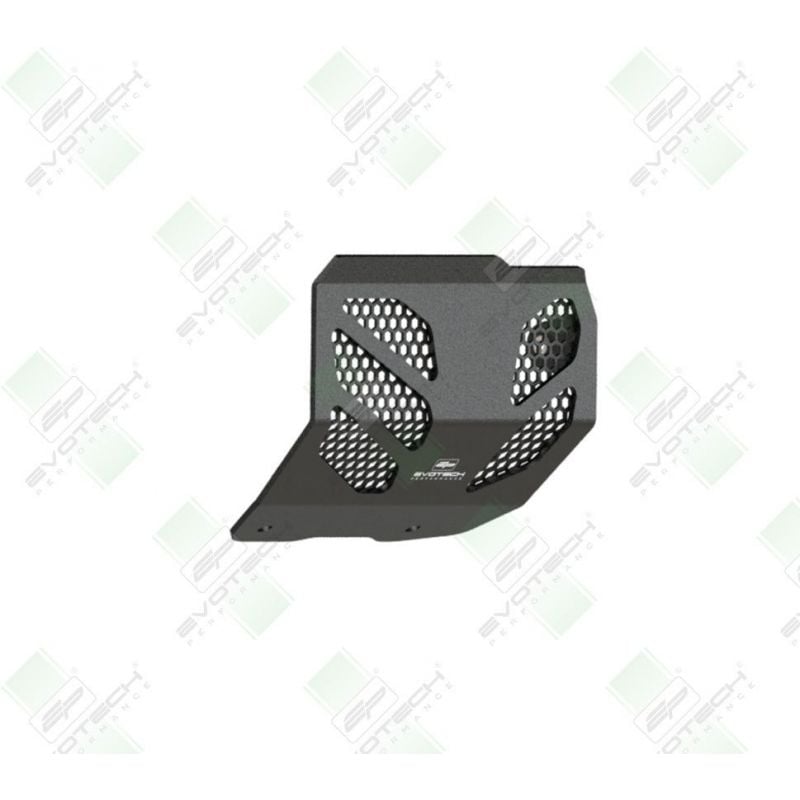 PRN015771-03 Ducati Monster 950 + (Plus) 2023+ Protezione Motore  Evotech-performance