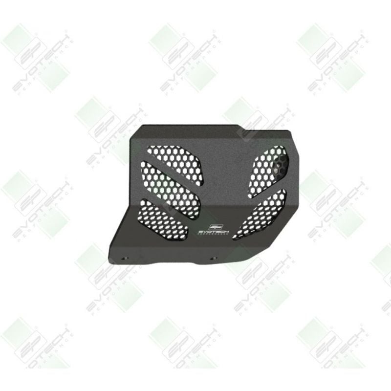 PRN015771-03 Ducati Monster 950 + (Plus) 2023+ Protezione Motore  Evotech-performance