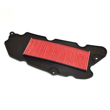 FILTRO ARIA AEON Elite 350 12/13