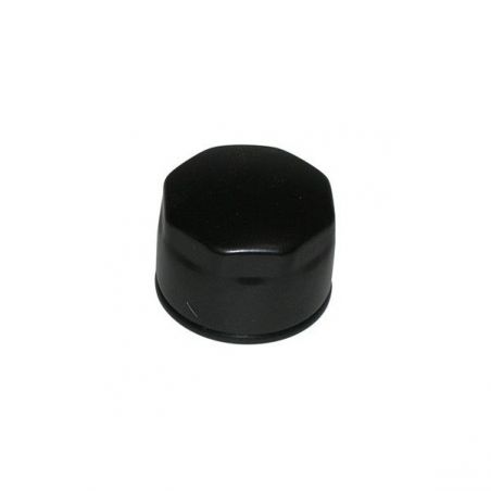 FILTRO OLIO AIXAM Mac Cabriolet 340E 340 96/00