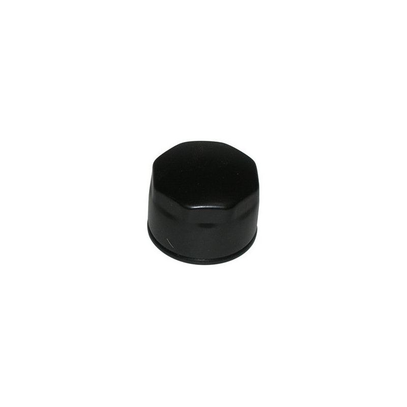 FILTRO OLIO AIXAM 500.5 Benzina 500 05/05