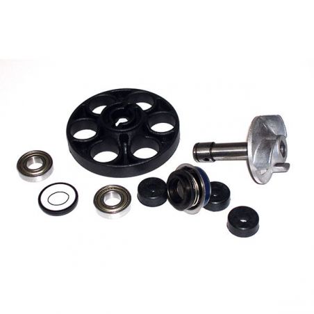 KIT REVISIONE POMPA ACQUA APRILIA SR Ditech E2 (RLD10) 50 03/04