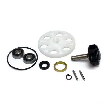 KIT REVISIONE POMPA ACQUA C/DISCO TRAINO APRILIA SR Stealth LC DD (MZC00/MZF00/MZL10) 50 97/01