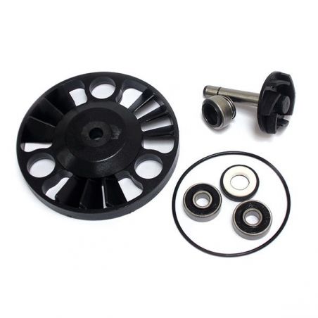 KIT REVISIONE POMPA ACQUA APRILIA Scarabeo GT 4T Piaggio (TD000/TD002/TDA01/TDB01) 125 03/06
