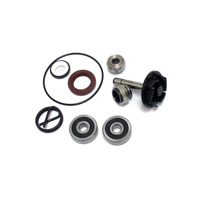 KIT REVISIONE POMPA ACQUA APRILIA Atlantic (SPB00) 250 03/05