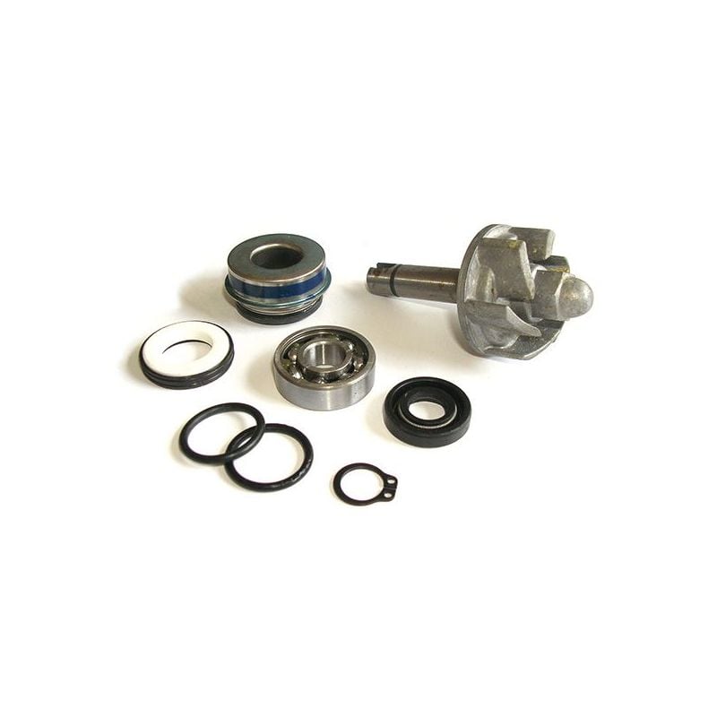 KIT REVISIONE POMPA ACQUA APRILIA Leonardo / Leonardo ST 250 99/04
