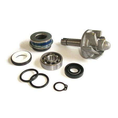 KIT REVISIONE POMPA ACQUA APRILIA Leonardo / Leonardo ST 250 99/04
