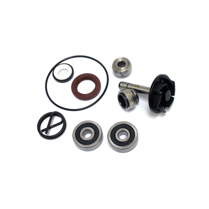 KIT REVISIONE POMPA ACQUA APRILIA Scarabeo / Scarabeo GT 250 04/06