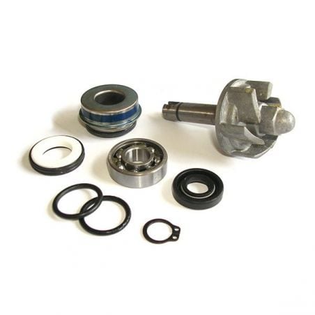 KIT REVISIONE POMPA ACQUA APRILIA Leonardo ST 300 04/06