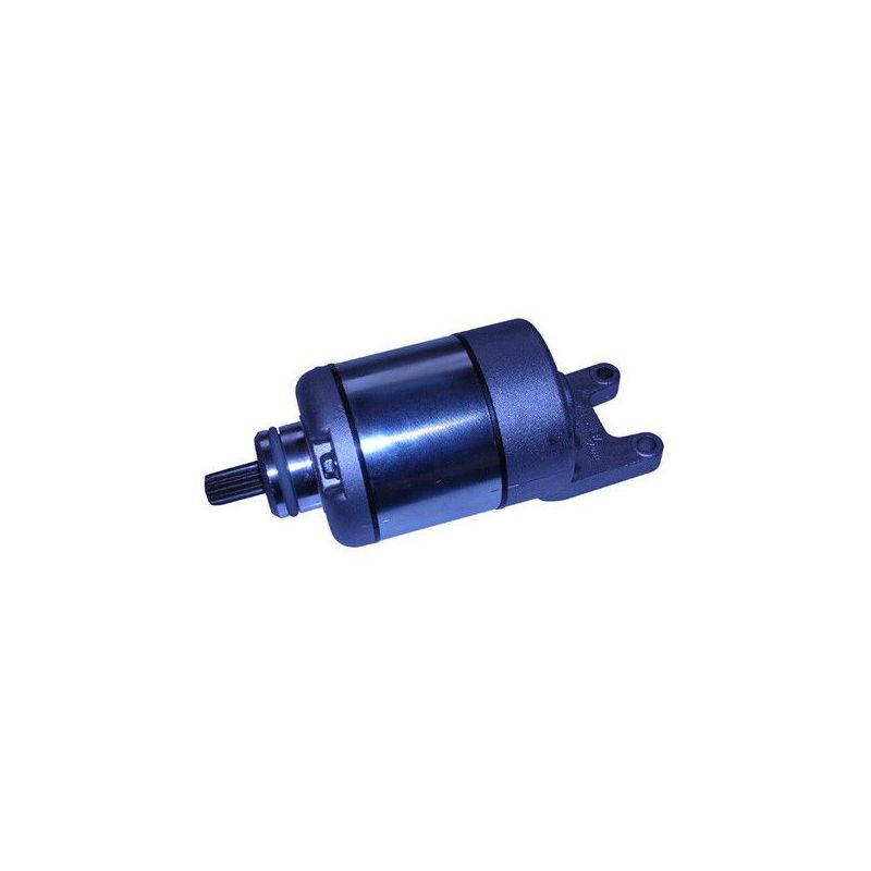 MOTORINO AVV.TO APRILIA Scarabeo Light / Special (VRG00) 300 09/10