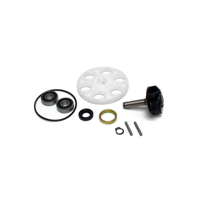 KIT REVISIONE POMPA ACQUA C/DISCO TRAINO BETAMOTOR ARK/ARK LC DT 50 96/03