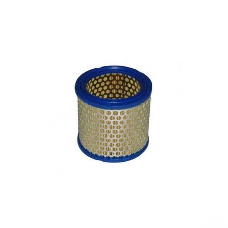 FILTRO ARIA CAGIVA Freccia C10 R 125 88/88