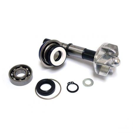 KIT REVISIONE POMPA ACQUA DAELIM S3 Advance / S300 250 13/15