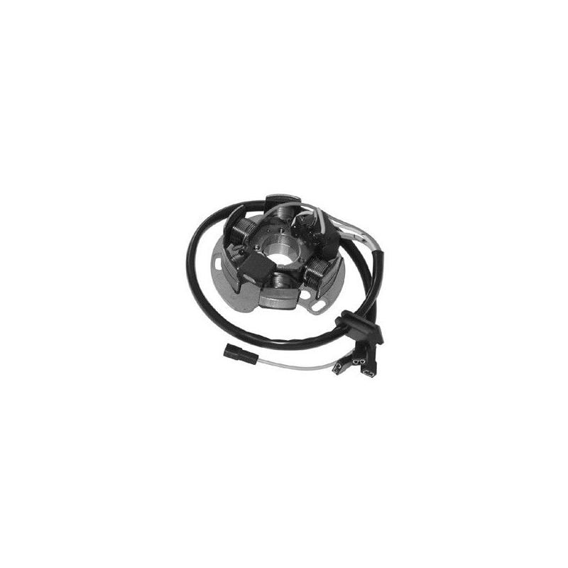 STATORE COMPLETO DERBI GPR / GPR E2 50 06/09