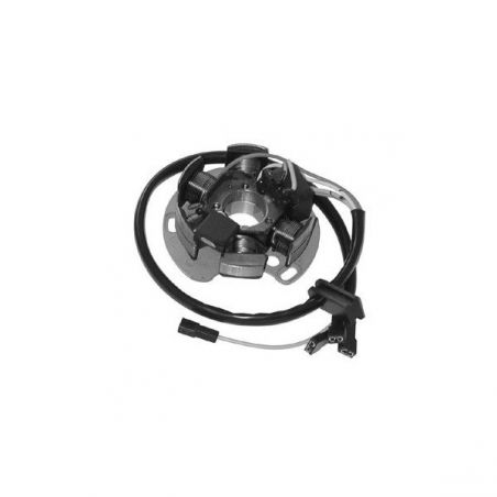 STATORE COMPLETO DERBI GPR R E2 50 13/13