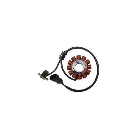 STATORE DERBI Terra 4T (TS1A1A) 125 07/12