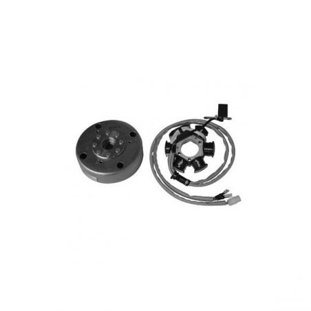 VOLANO COMPLETO GILERA Easy Moving 50 95/96
