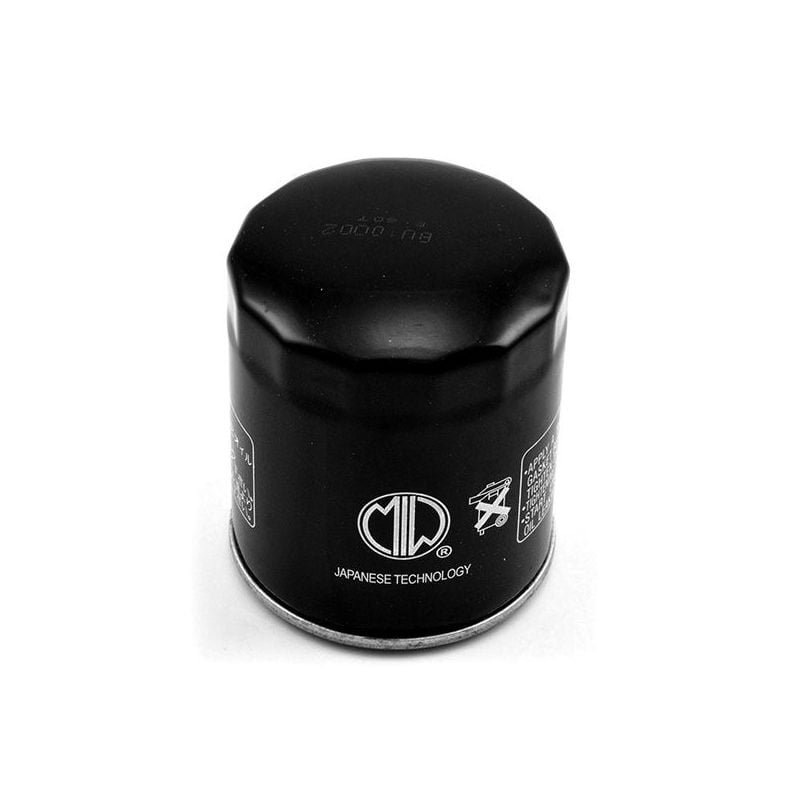 FILTRO OLIO HARLEY DAVIDSON FLRT Freewheeler 1745 17/18