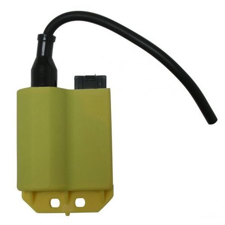 CENTRALINA BOBINA HONDA SGX Sky (AF43) 50 97/01