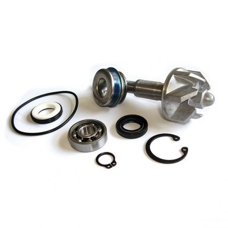KIT REVISIONE POMPA ACQUA HONDA FES Pantheon 4T 125 03/06