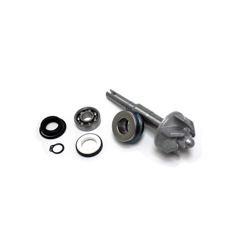 KIT REVISIONE POMPA ACQUA HONDA FES Pantheon 4T 150 03/07