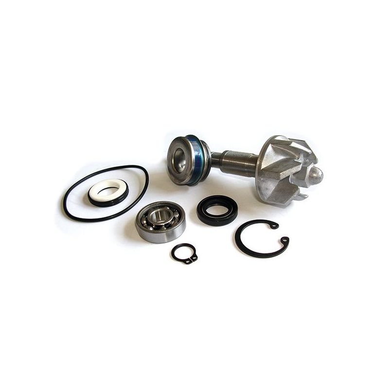 KIT REVISIONE POMPA ACQUA HONDA FES Pantheon 4T 150 03/06