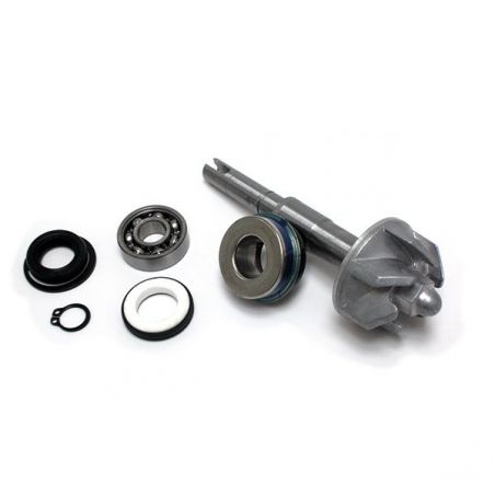 KIT REVISIONE POMPA ACQUA HONDA SES Dylan (JF10) 150 02/06