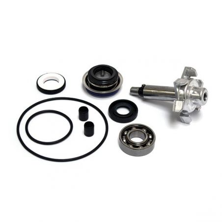 KIT REVISIONE POMPA ACQUA HONDA SH IE ABS (KF13E) 150 13/16