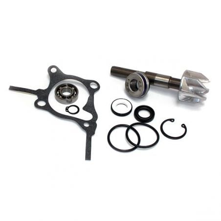KIT REVISIONE POMPA ACQUA HONDA NSS Jazz 250 01/04