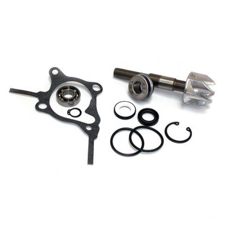 KIT REVISIONE POMPA ACQUA HONDA NSS Jazz 250 01/04