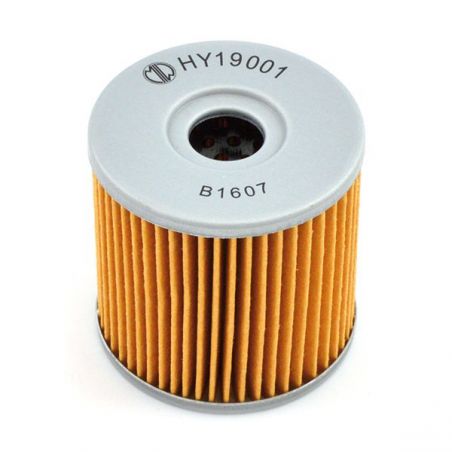 FILTRO OLIO HYOSUNG GV Aquila 650 05/08