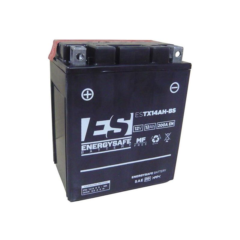 BATTERIA KAWASAKI KEF B Lakota Sport 300 01/02