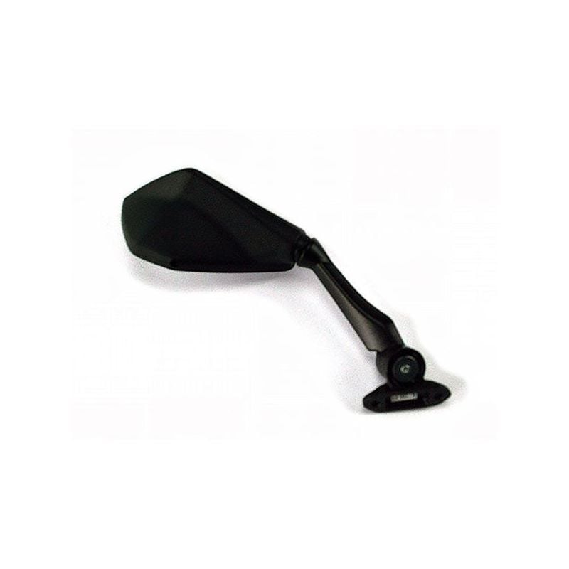 SPECCHIO DX KAWASAKI Ninja ZX-6R 636 13/16