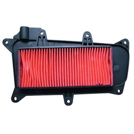 FILTRO ARIA KYMCO Agility 4T Carry E5 125 21/21