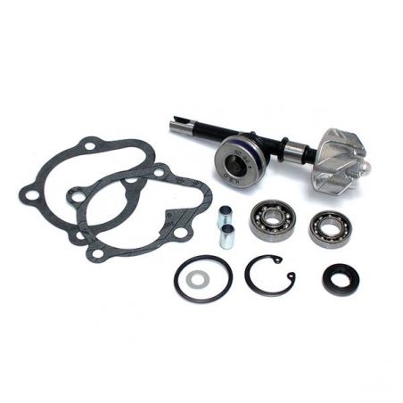 KIT REVISIONE POMPA ACQUA KYMCO Dink Classic / E2 125 02/06